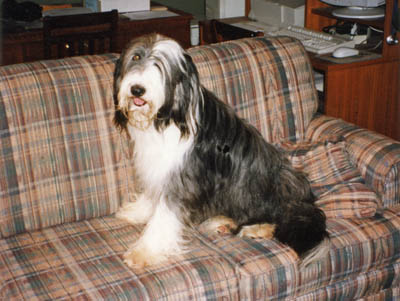 Summer sitting on the sofa where she can see mommy working on the xomputer